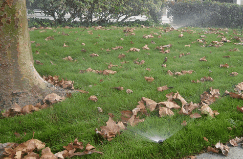 lawn sprinkler